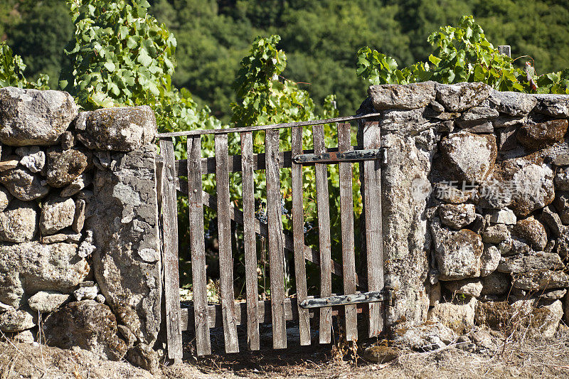 加利西亚的Ribeira Sacra，木门，石墙和葡萄园。